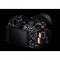 Nikon Z5 II Mirrorless Camera with Z 24-200mm f/4-6.3 VR Lens - view 4