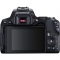 Canon EOS 250D DSLR Camera with EF-S 18-55 mm f/3.5-5.6 III Lens - view 5